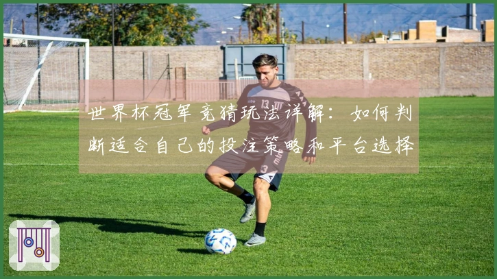 世界杯冠军竞猜玩法详解：如何判断适合自己的投注策略和平台选择
