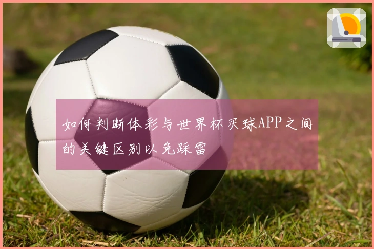 如何判断体彩与世界杯买球APP之间的关键区别以免踩雷