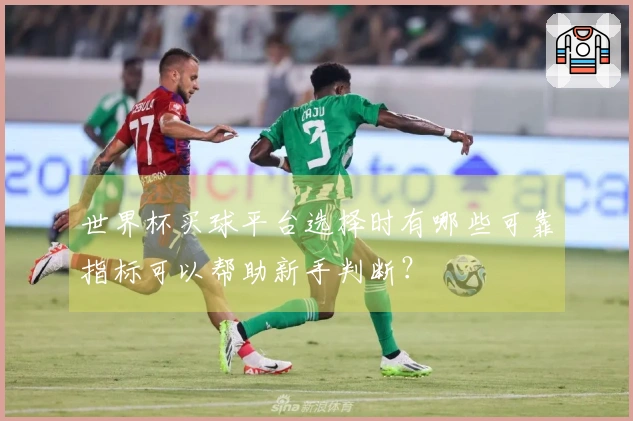 世界杯买球平台选择时有哪些可靠指标可以帮助新手判断？