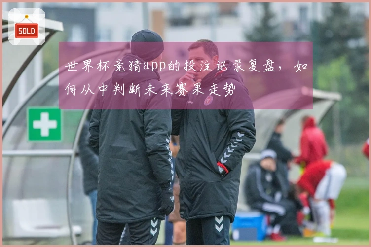 世界杯竞猜app的投注记录复盘，如何从中判断未来赛果走势