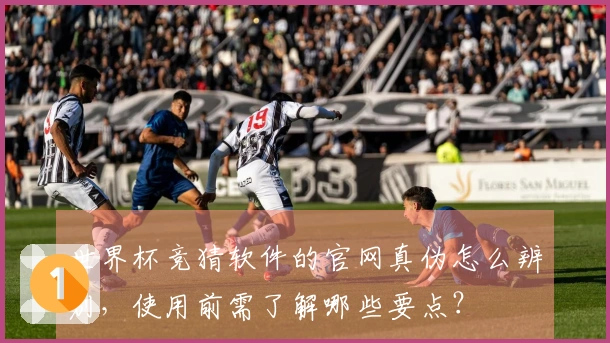 世界杯竞猜软件的官网真伪怎么辨别，使用前需了解哪些要点？