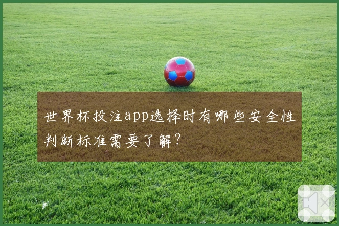 世界杯投注app选择时有哪些安全性判断标准需要了解？