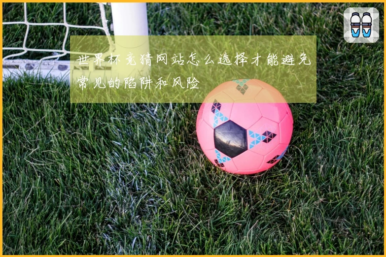 世界杯竞猜网站怎么选择才能避免常见的陷阱和风险