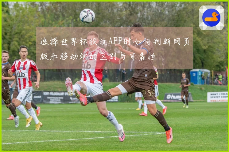 选择世界杯投注APP时如何判断网页版和移动端的区别与可靠性