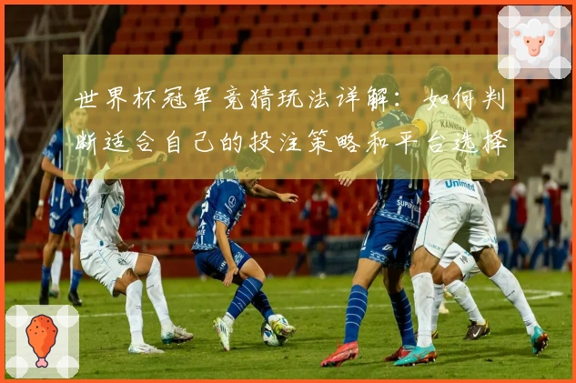 世界杯冠军竞猜玩法详解：如何判断适合自己的投注策略和平台选择