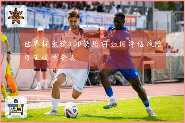 世界杯竞猜app使用前如何评估风险与正规性要点
