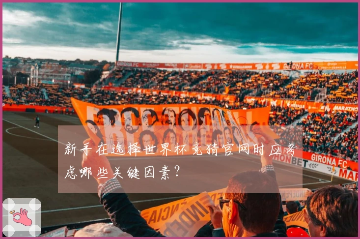 新手在选择世界杯竞猜官网时应考虑哪些关键因素？