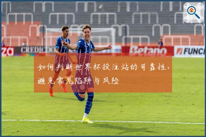 如何判断世界杯投注站的可靠性，避免常见陷阱与风险