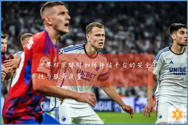 世界杯买球时如何评估平台的安全性与服务质量？