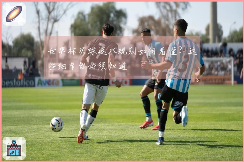 世界杯买球返水规则如何看懂？这些细节你必须知道