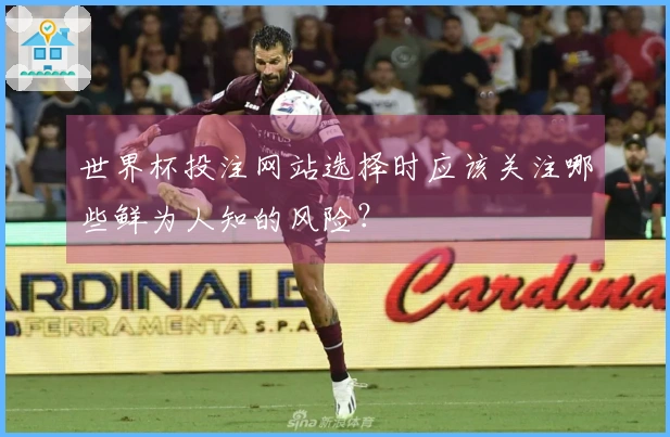 世界杯投注网站选择时应该关注哪些鲜为人知的风险？
