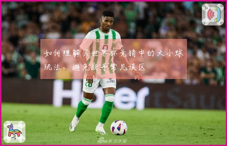 如何理解买世界杯竞猜中的大小球玩法，避免新手常见误区