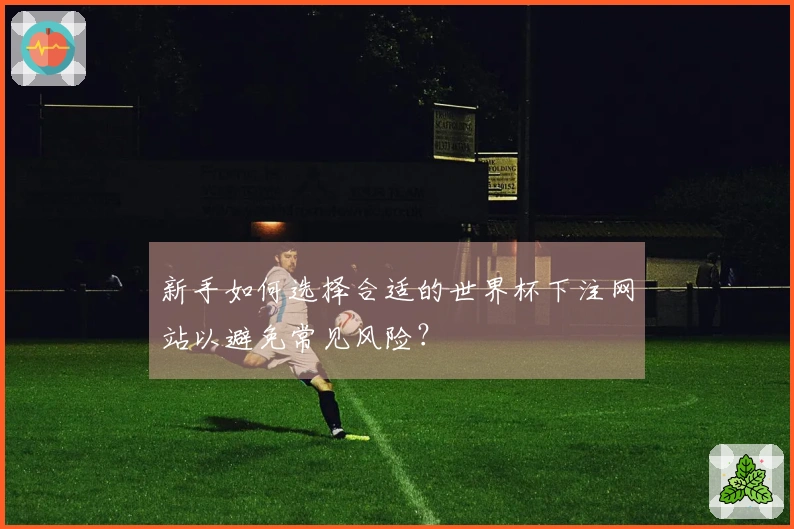 新手如何选择合适的世界杯下注网站以避免常见风险？