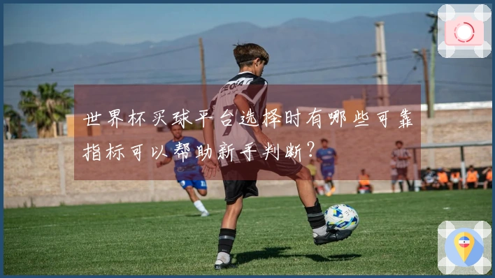 世界杯买球平台选择时有哪些可靠指标可以帮助新手判断？