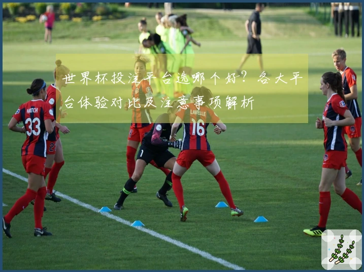 世界杯投注平台选哪个好？各大平台体验对比及注意事项解析