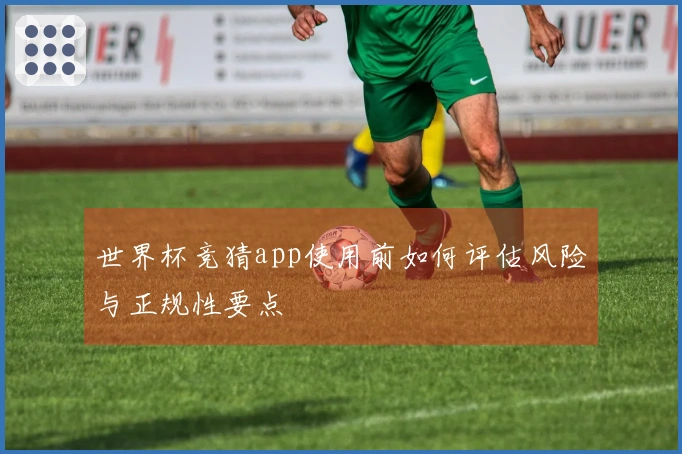 世界杯竞猜app使用前如何评估风险与正规性要点