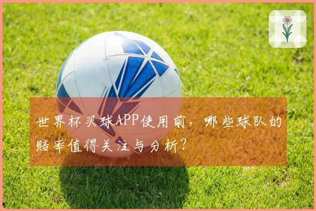 世界杯买球APP使用前，哪些球队的赔率值得关注与分析？