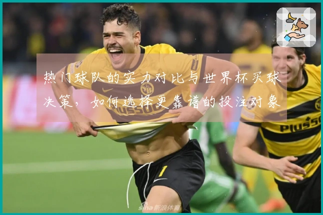 热门球队的实力对比与世界杯买球决策，如何选择更靠谱的投注对象