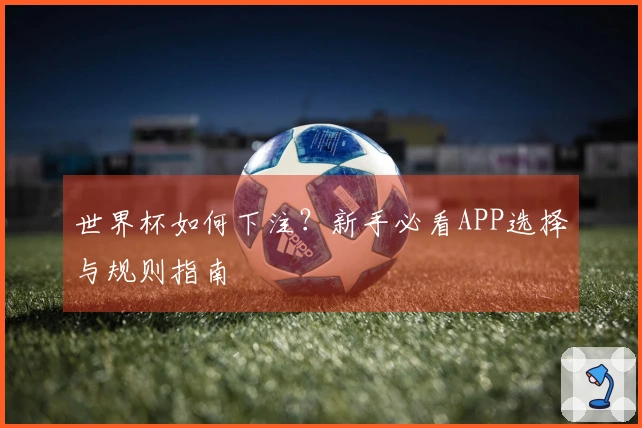 世界杯如何下注？新手必看APP选择与规则指南