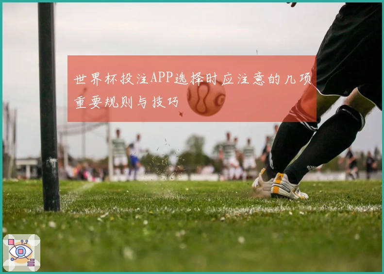 世界杯投注APP选择时应注意的几项重要规则与技巧