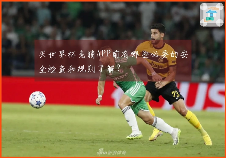 买世界杯竞猜APP前有哪些必要的安全检查和规则了解？