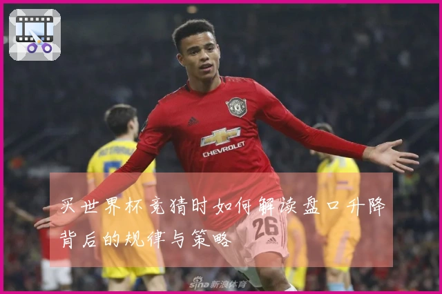 买世界杯竞猜时如何解读盘口升降背后的规律与策略