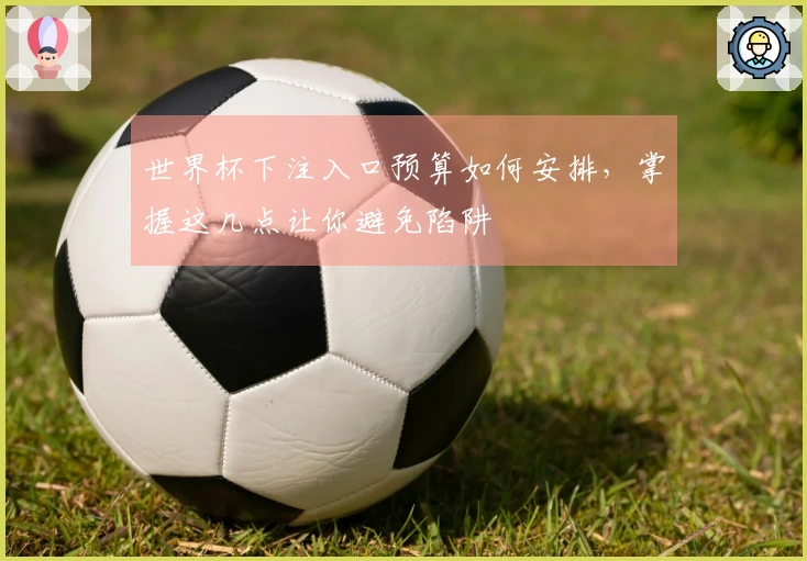 世界杯下注入口预算如何安排，掌握这几点让你避免陷阱