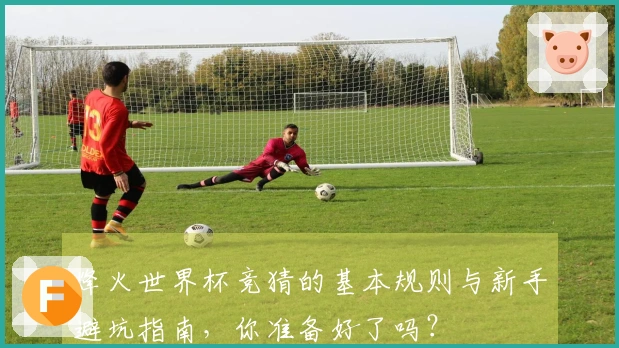 烽火世界杯竞猜的基本规则与新手避坑指南，你准备好了吗？