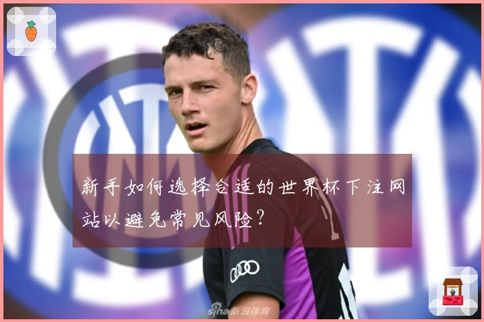新手如何选择合适的世界杯下注网站以避免常见风险？