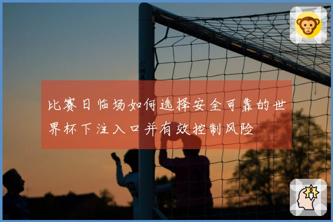 比赛日临场如何选择安全可靠的世界杯下注入口并有效控制风险