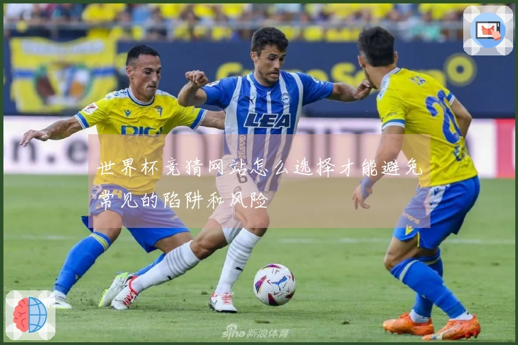 世界杯竞猜网站怎么选择才能避免常见的陷阱和风险