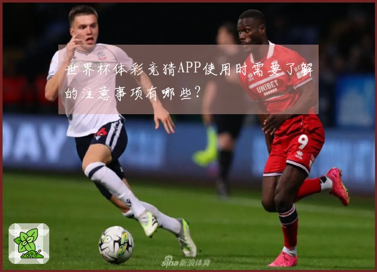 世界杯体彩竞猜APP使用时需要了解的注意事项有哪些？