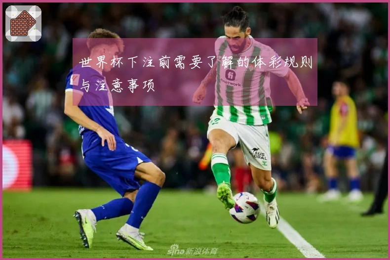世界杯下注前需要了解的体彩规则与注意事项
