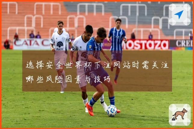 选择安全世界杯下注网站时需关注哪些风险因素与技巧