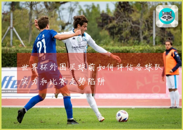世界杯外围买球前如何评估各球队实力和比赛走势陷阱