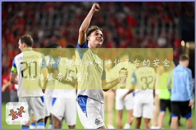 世界杯买球时如何评估平台的安全性与服务质量？