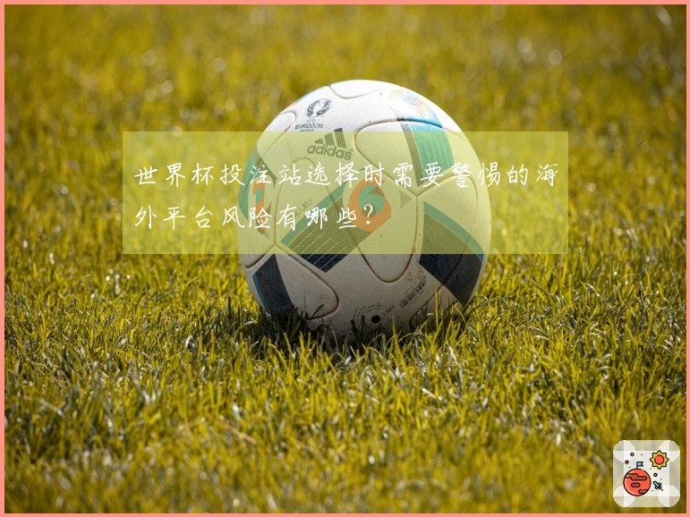 世界杯投注站选择时需要警惕的海外平台风险有哪些？