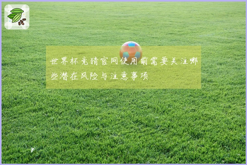世界杯竞猜官网使用前需要关注哪些潜在风险与注意事项