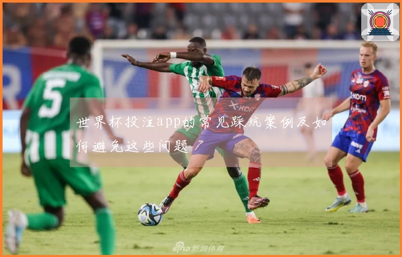世界杯投注app的常见踩坑案例及如何避免这些问题