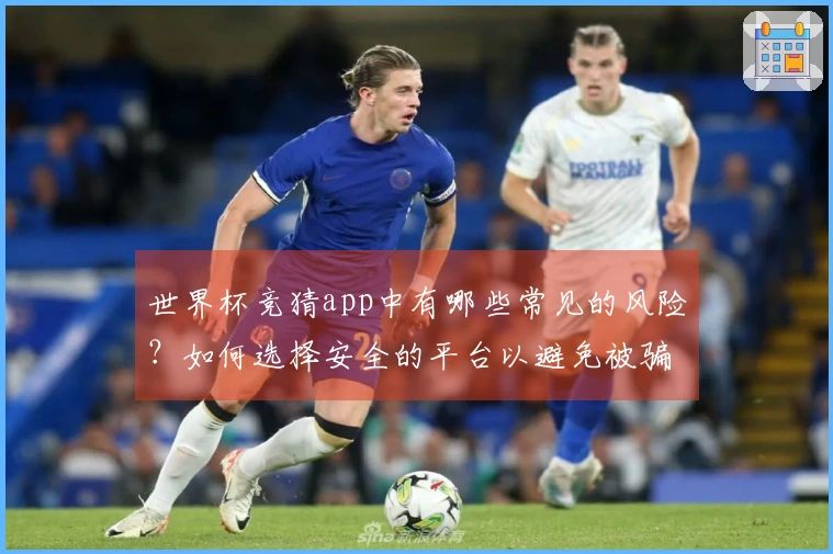 世界杯竞猜app中有哪些常见的风险？如何选择安全的平台以避免被骗