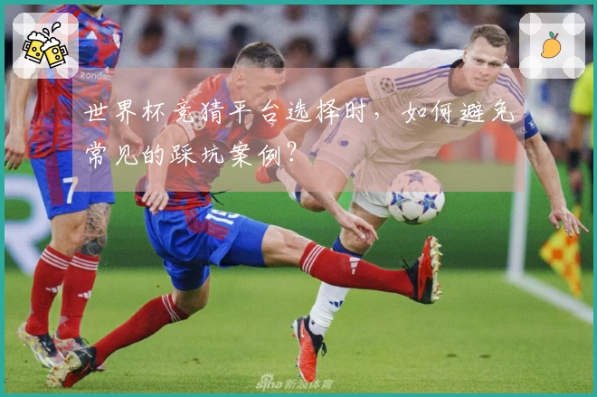 世界杯竞猜平台选择时，如何避免常见的踩坑案例？