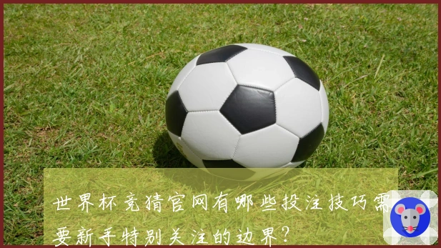 世界杯竞猜官网有哪些投注技巧需要新手特别关注的边界？