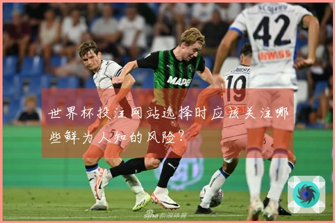 世界杯投注网站选择时应该关注哪些鲜为人知的风险？